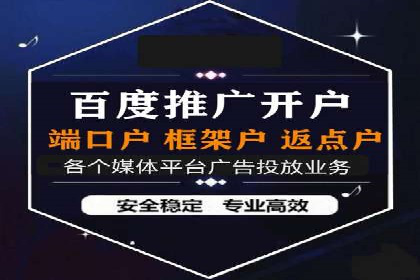低成本高回报：百度竞价代理成功案例分析